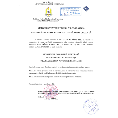 Ghiozdan Frozen mic FRZ11003 (gradinita)