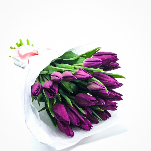 Buchet Lalele violet, naturale 25 fire