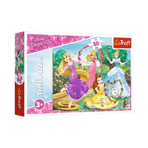 Puzzle Disney Princess, In gradina palatului, 30 piese