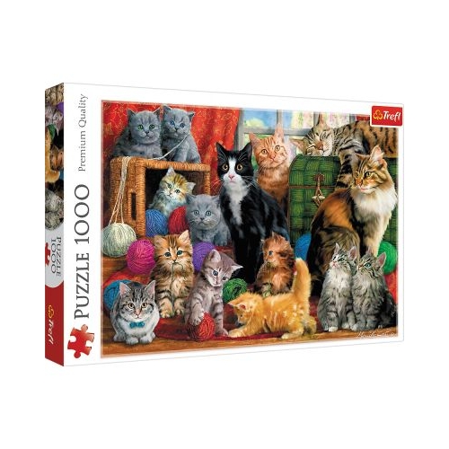 Puzzle Intalnirea pisicutelor, 1000 piese