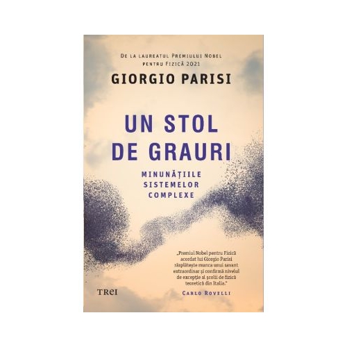 Un stol de grauri. Minunatiile sistemelor complexe - Giorgio Parisi