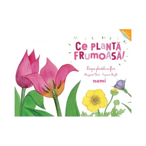 Ce planta frumoasa - Despre plantele cu flori - Capucine Mazille Marguerite Tiberti