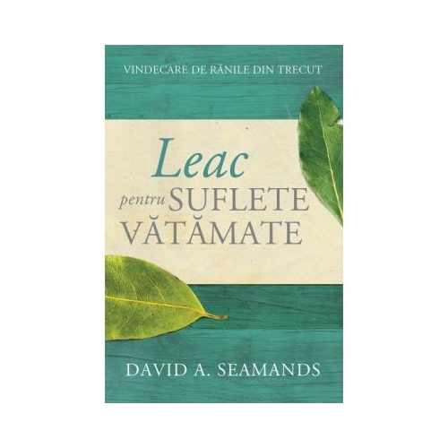 Leac pentru suflete vatamate. Vindecare de ranile din trecut - David A. Seamands Religie Kerigma grupdzc
