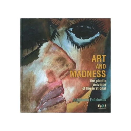 Arta si nebunie. Universul plastic al irationalului - Constantin Enachescu