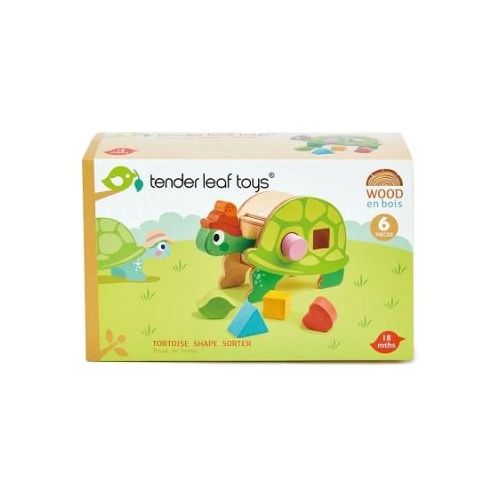 Broasca testoasa didactica 6 piese