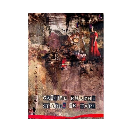 Starea de fapt - Gabriel Enache