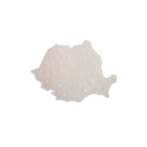 Harta Sablon Romania NEBO