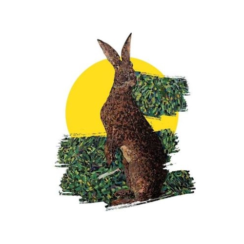 Sketchbook. Cauia Iepure