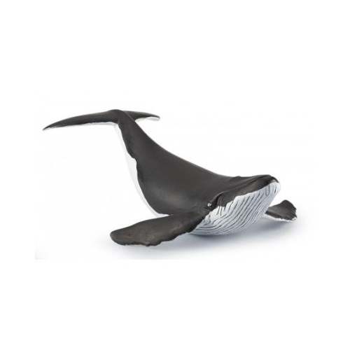 Figurina Pui de balena Papo