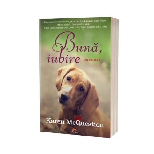 Buna iubire - Karen McQuestion