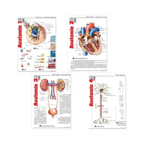Pachet Pliante Anatomie volumele 1-4 - Florica Mailat