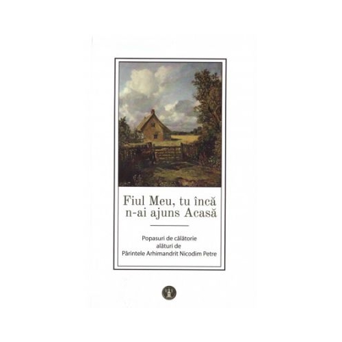 Fiul Meu tu inca n-ai ajuns Acasa - Nicodim Petre