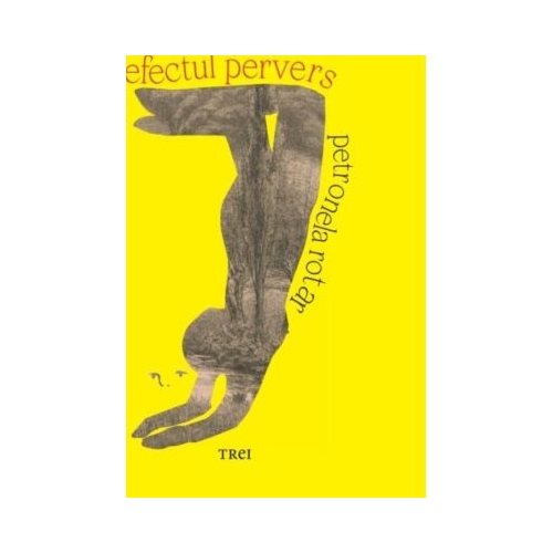 Efectul pervers - Petronela Rotar