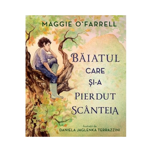 Baiatul care si-a pierdut scanteia - Maggie OFarrell