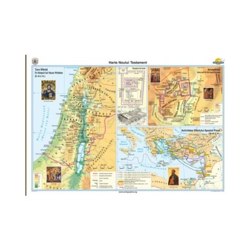 Noul Testament 140x100 cm CR-3236B