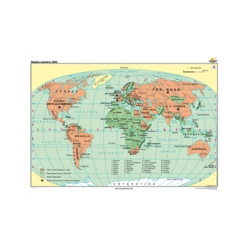 Statele membre ONU 140x100 cm CR-3233B