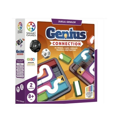 Joc logic Genius Connection limba romana