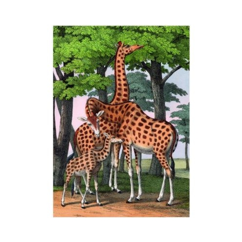 Puzzle 1000 piese  saculet Girafe Kiub