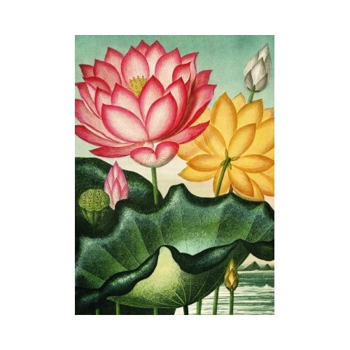 Puzzle 1000 piese 50 x 70 cm  saculet Flori Kiub
