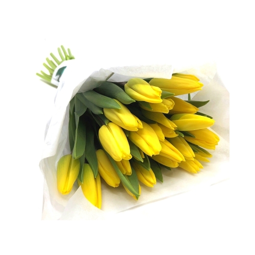 Buchet Lalele galbene, naturale 25 fire