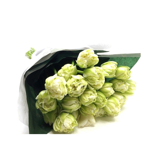 Buchet Lalele albe crete, naturale 25 fire