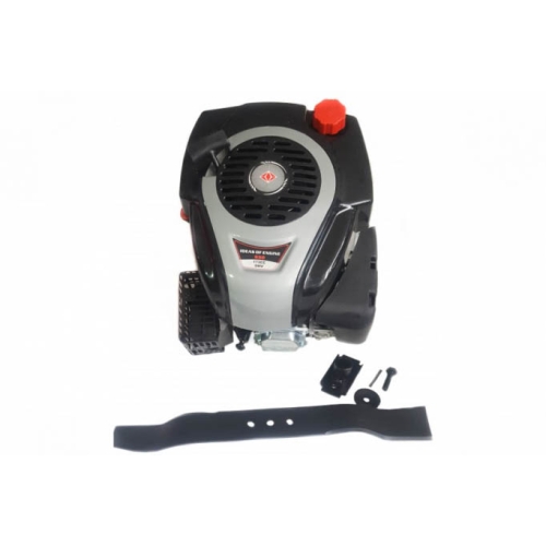 Motor cu ax vertical 6HP 173cc