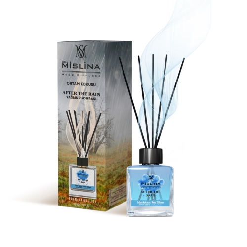 Odorizant Camera betisoare, aroma After the rain, 110 ml, Mislina