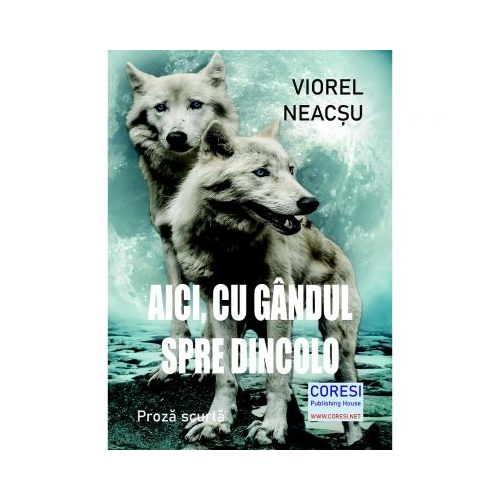 Aici, cu gandul spre dincolo - Viorel Neacsu