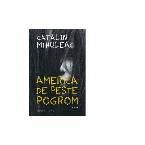 America de peste pogrom - Catalin Mihuleac