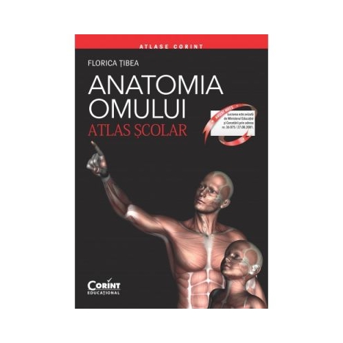 Anatomia Omului. Atlas scolar. Editie revizuita - Florica Tibea Enciclopedii Dictionare si Atlase Corint