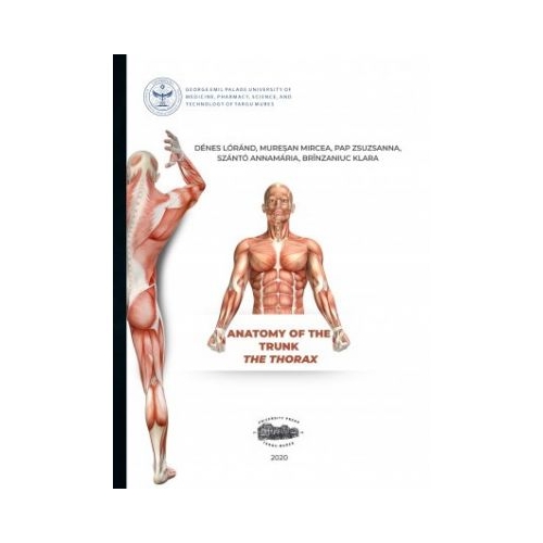 Anatomy of the trunk. The thorax - Denes Lorand