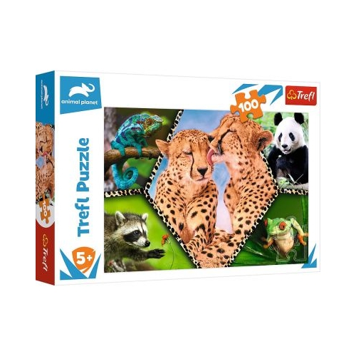 Puzzle natura frumoasa 100 piese
