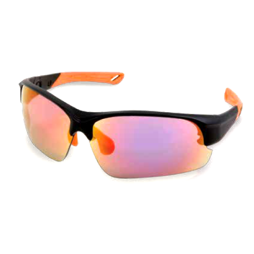 OCHELARI POLARIZANTI