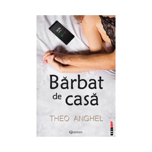 Barbat de casa - Theo Anghel