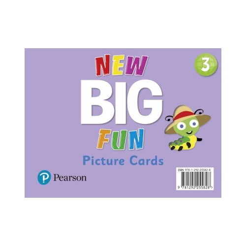 Big Fun Refresh Level 3 Picture Cards