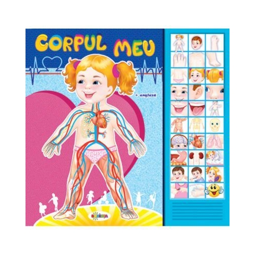 Carte cu sunete. Corpul meu. Romana si Engleza - Inesa Tautu, editura Dorinta. Carte educativa pentru copii.