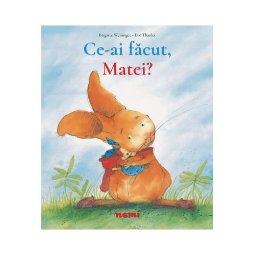 Ce ai facut, Matei? - Brigitte Weninger, Eve Tharlet Povesti pentru copii Nemi