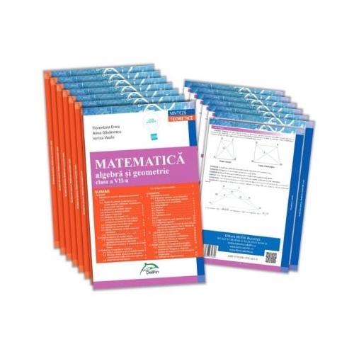 Sinteze teoretice - Matematica - Clasa a VII-a - Algebra si geometrie, editura Delfin