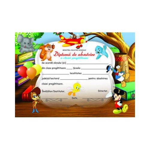 Diploma scolara Absolvire a Clasei Pregatitoare (DLFD001C)