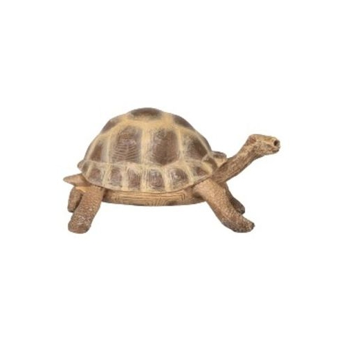 Figurina Testoasa de uscat, Papo