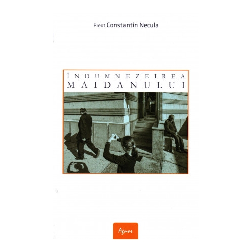 Indumnezeirea maidanului - Constantin Necula