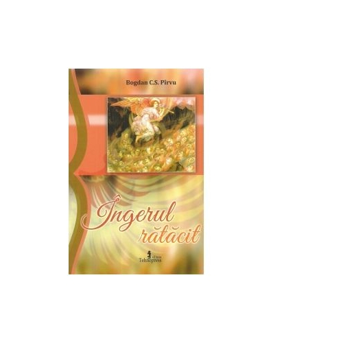 Ingerul ratacit - Bogdan C. S. Pirvu