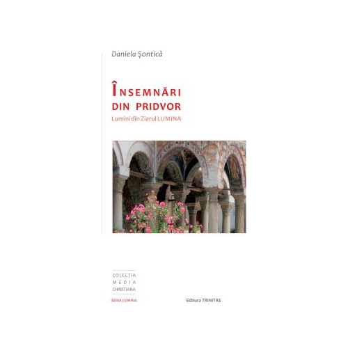 Insemnari din pridvor - Daniela Sontica