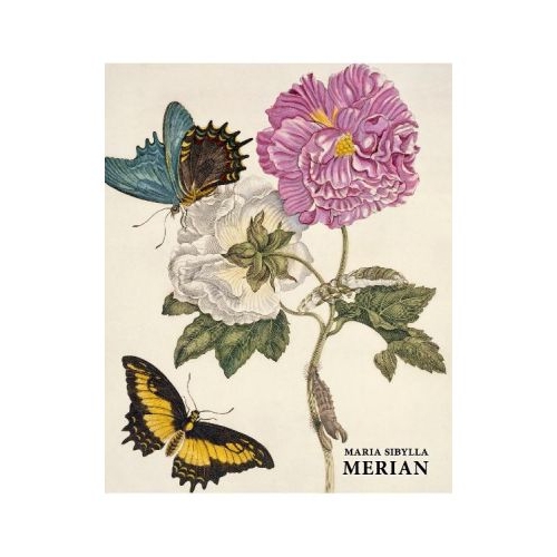 Maria Sibylla Merian - Daniel Kiecol