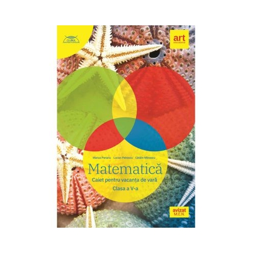 Matematica. Caiet pentru vacanta de vara. Clasa a V-a - Marius Perianu, Lucian Petrescu, Catalin Miinescu, editura Art Grup