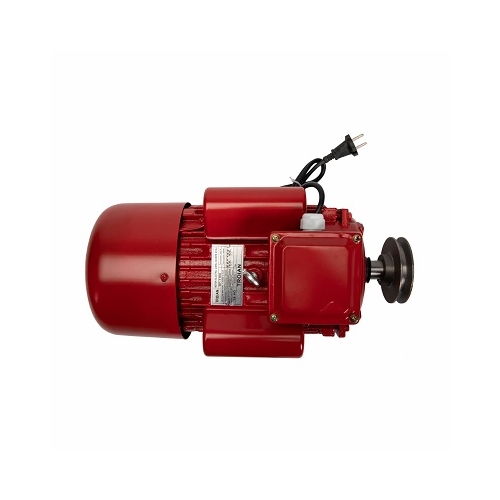 Motor electric 4.0 kW 3000 rpm TROIAN ROSU