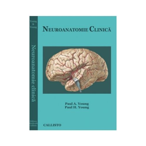 Neuroanatomie Clinica