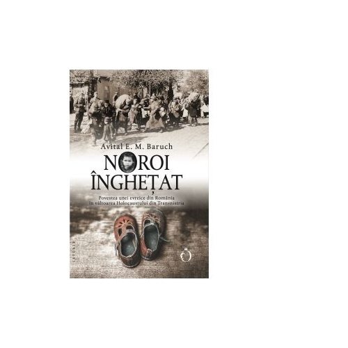 Noroi inghetat. Povestea unei evreice din Romania in valtoarea Holocaustului din Transnistria - Avital E. M. Baruch