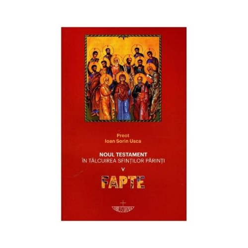 Noul Testament in talcuirea Sfintilor Parinti. Vol. 5. Fapte - Ioan Sorin Usca