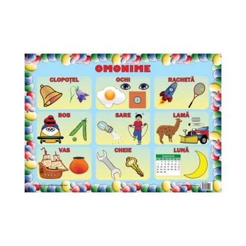 Omonime - Set 3 planse, editura Ars Libri